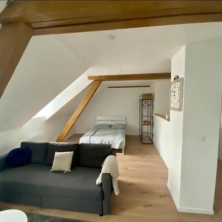 Studio Cosy Comme A La Maison Mulhouse Exterior photo